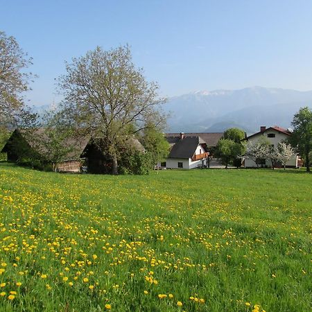 Ferienhof Breitenbaumer Spital Am Pyhrn Esterno foto