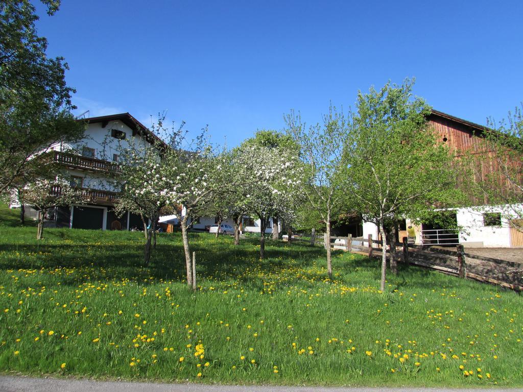 Ferienhof Breitenbaumer Spital Am Pyhrn Esterno foto